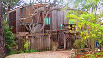 Off the Beaten Path in Carmel-by-the-Sea: A Self-Guided Tour