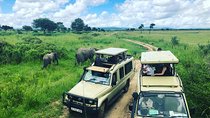 3 Days 2 Nights Adventures At Mikumi National Park