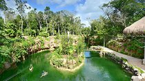 Discover and Descend on the Hidden Xenotes Tour From Cancun