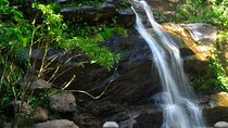 Christ and Tijuca Forest Tour - by Alan Denis