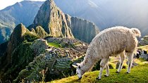 Machu Picchu By Train (2 Days)
