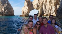 Humpback Whales in Cabo San Lucas