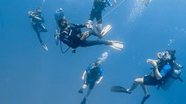 Advanced Open Water Dive Certification in Tamarindo