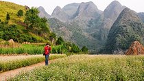 Discover Hagiang 3 Days 2 Nights From Hanoi
