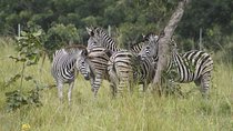 Discover Nature at Shai Hills