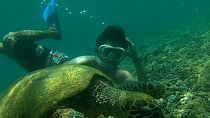 Package 3 days : City Tour, Snorkeling, & Hiking to Waterfalls 