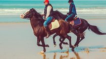 Horseback Riding: EL GHANDOURI - Tangier - 2 hours