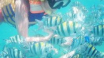 Snorkeling Tour In Gili Nanggu