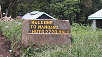 Kilimanjaro Mountain day trip hiking