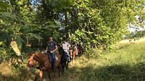 1-hour tourist walk with guide
