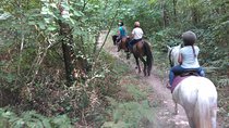Special children's ride - relaxation and fun for children guaranteed
