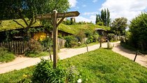 Luxury Small group tour from Auckland to Hobbiton Movie Set