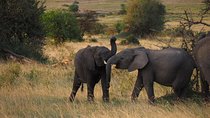 4 Days Amboseli Naivasha 