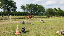 Riding course for all levels 1/2 day (3 hours)
