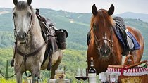 Wine and Horses