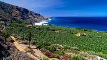 Tenerife North Private Tour: Through Villages and Ports