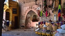 Private walking tour of Marrakech Medina with official tour guide