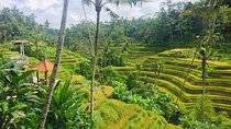 Bali Ubud Tour