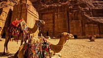 From Aqaba a Day Excursion to Petra 