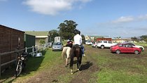 Horse riding & WIne Tasting 