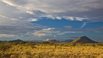 8-Day Samburu, Mount Kenya, Lake Nakuru and Masai Mara