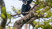Arusha National Park Day Trip