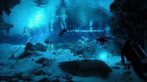 Dos Ojos Cenote Cavern Dive- The Barbie Line and The Bat Cave