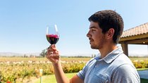 Tours 2 Vineyards Full Day Private