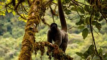 Manu National Park Tour 4days/3night