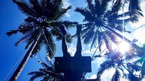 Ubud Private Tour – Best Full-Day All-Inclusive Package