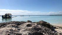 Akumal / snorkeling With Turtles