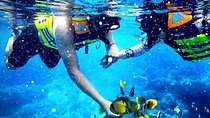 Blue Lagoon Paradise Snorkeling Tour