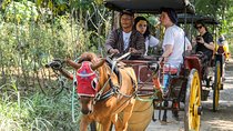 Candirejo Village Tour