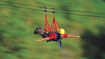 Sarangkot sunrise and zip flying with a private vehicle and guide in Pokhara 