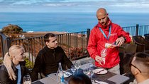 Mount Teide and Tenerife North with Food & Wine Tasting Private Tour