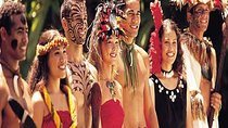 Pearl Harbor, Dole Plantation, and Polynesian Center from Maui