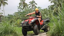 ATV Tour with Monkey Forest Experience in Bali