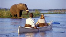 Day trip to Lake Manyara
