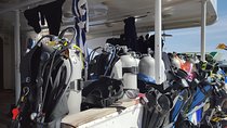 Intro Scuba Diving
