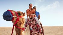 Evening Abu Dhabi Desert Safari & BBQ Dinner- Standard Tour 