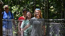 Hanging Bridges-Volcano Walk with Night Tour