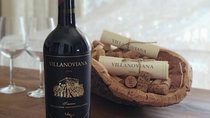 Discovering the Bolgheri vineyards and tasting local products 