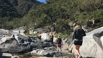 Hike the native Pericu road in Sierra de la Laguna.
