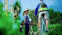 Sip n' Cycle Coffee and Mountain Bike Tour