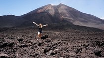 Pacaya Volcano Morning Tour from Antigua