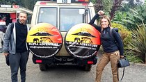 7 Days Honeymoon Safari Tanzania
