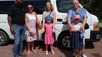Anuradhapura City to Habarana City Private Transfer
