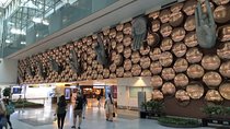 Arrival Meet & Assist service at Delhi Airport with optional Private transfer