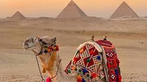 Sunset Camel Ride Including Local BBQ Dinner at the Pyramids