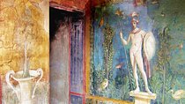 Herculaneum and Pompeii Private Tour: Day Trip from Rome by Car 